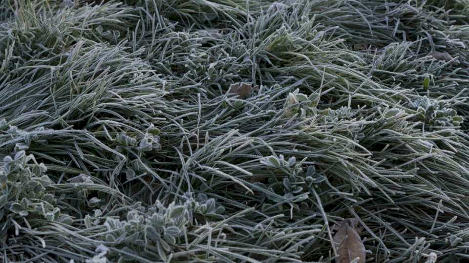 Clima en Neuquén: el miércoles llegará con mucho frío y heladas durante la mañana