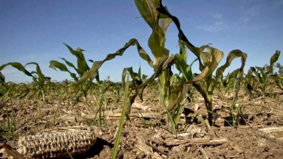 declararon-la-emergencia-agropecuaria-en-68-partidos-bonaerenses