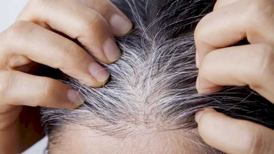 como-preparar-un-sencillo-champu-casero-para-eliminar-las-canas