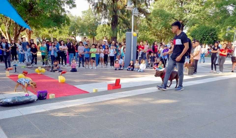 Diversas actividades en Frías por el Día del Animal