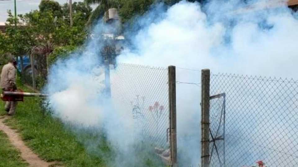 Comenzaron a descender la cantidad de casos de dengue en Tucumán