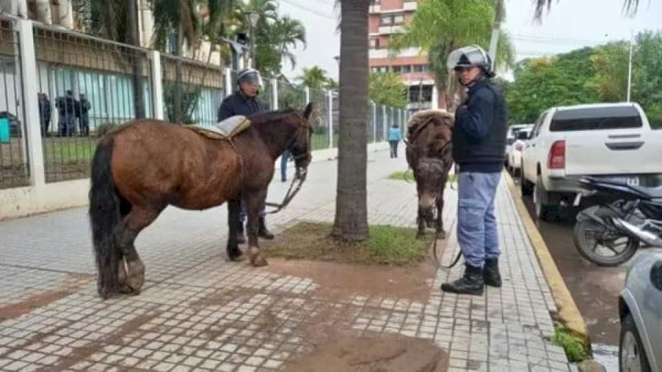 inusual-protesta-en-chaco:-manifestantes-a-caballo-intentaron-entrar-a-la-casa-de-gobierno