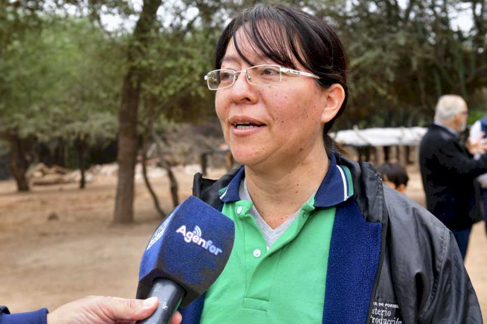 el-rostro-de-la-justicia-social:-la-historia-de-valeria-diaz,-la-ingeniera-forestal-oriunda-de-el-potrillo