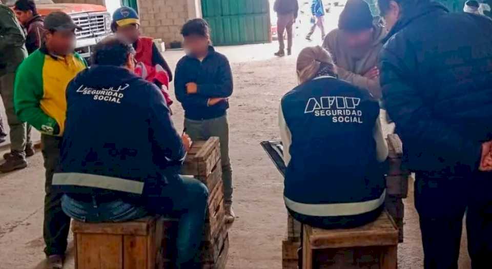 Trata laboral: 53 adultos y 12 menores fueron hallados en una finca hortícola