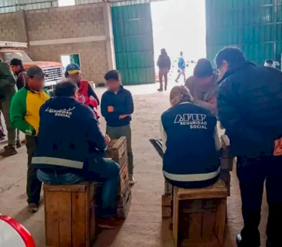 Trata laboral en una plantación hortícola