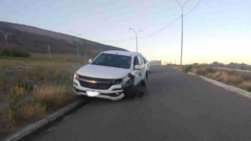 Chocó con una palma y dio alcoholemia positiva