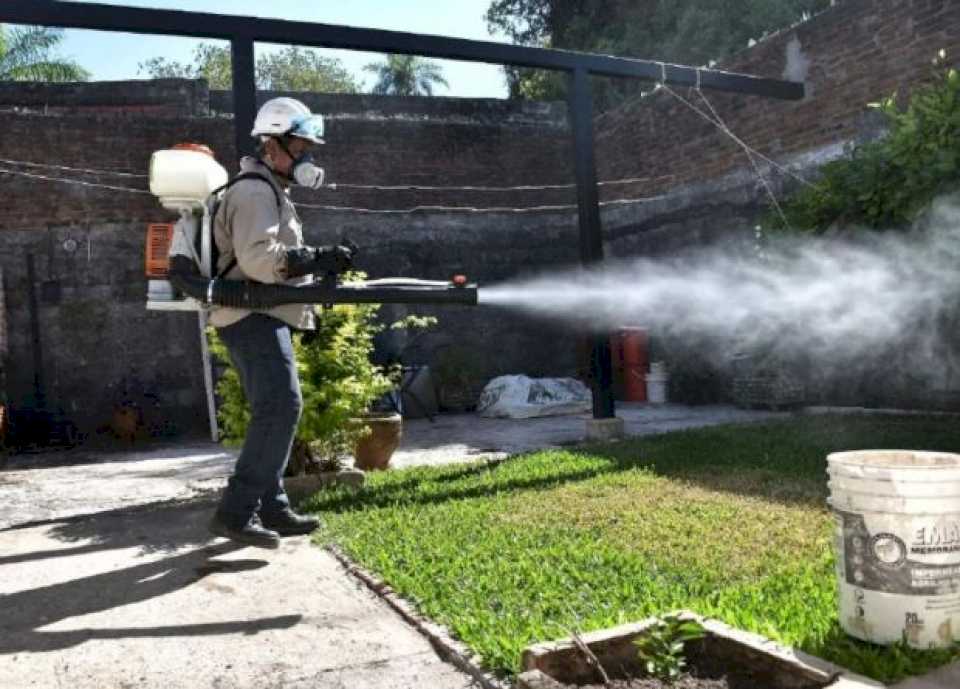 Dengue: predomina el serotipo 2 