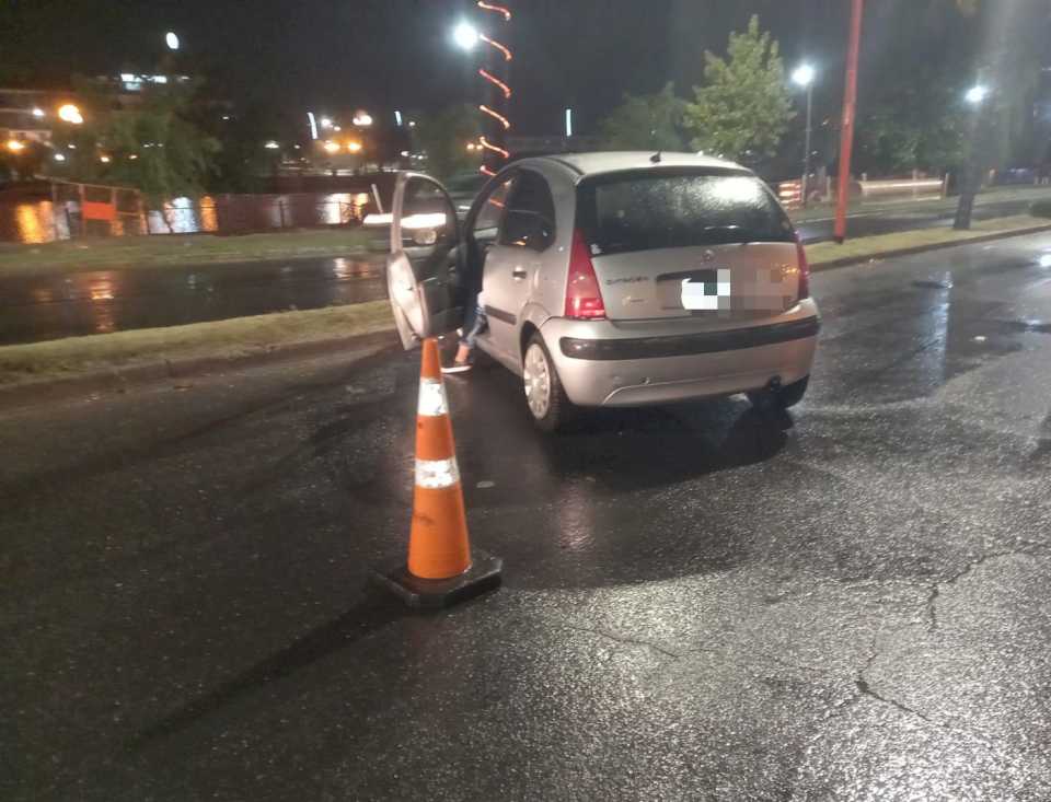 choco-contra-una-palmera-de-la-costanera-y-resulto-herida