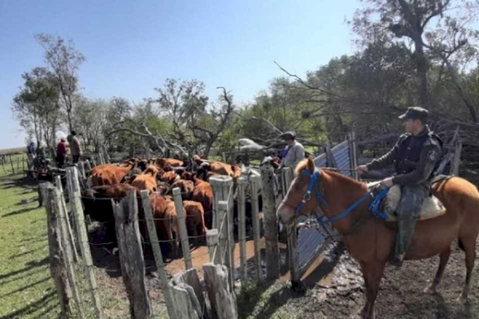 Abigeato: la policía prometió más presencia en la zona rural de Santo Tomé