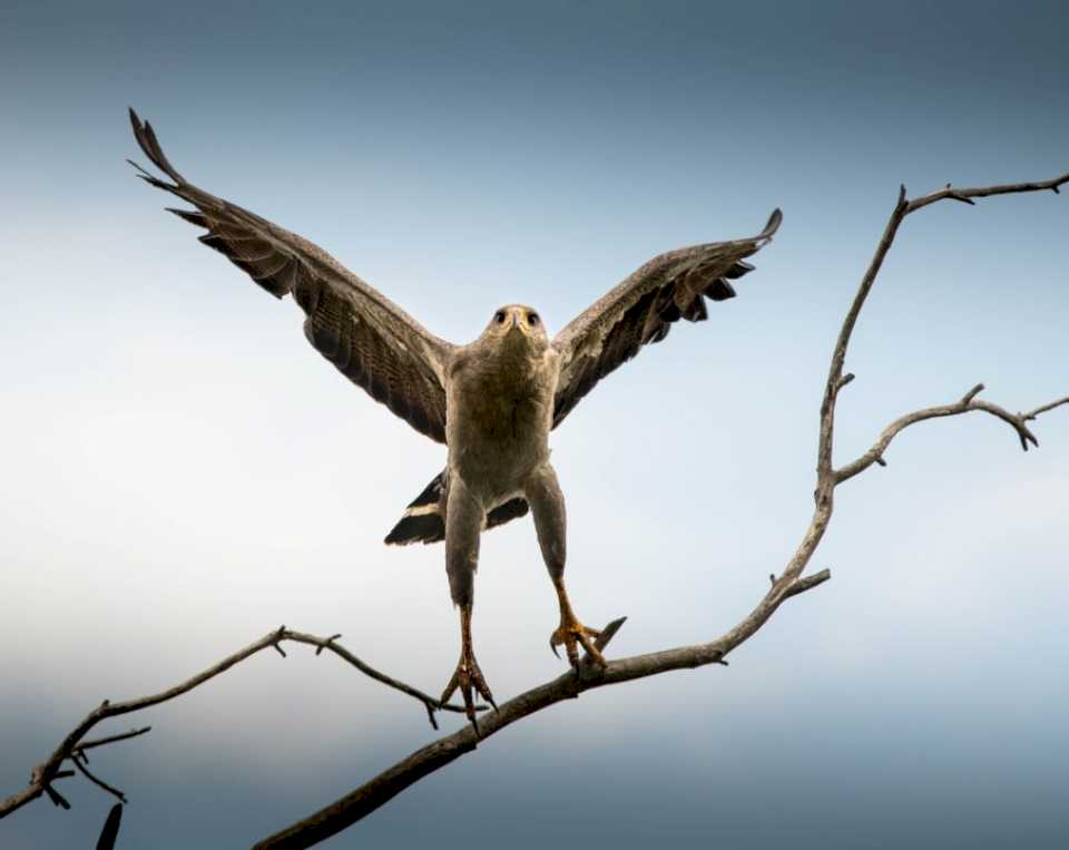 este-sabado-llega-la-tercera-temporada-de-«mil-aves-y-un-fotografo»