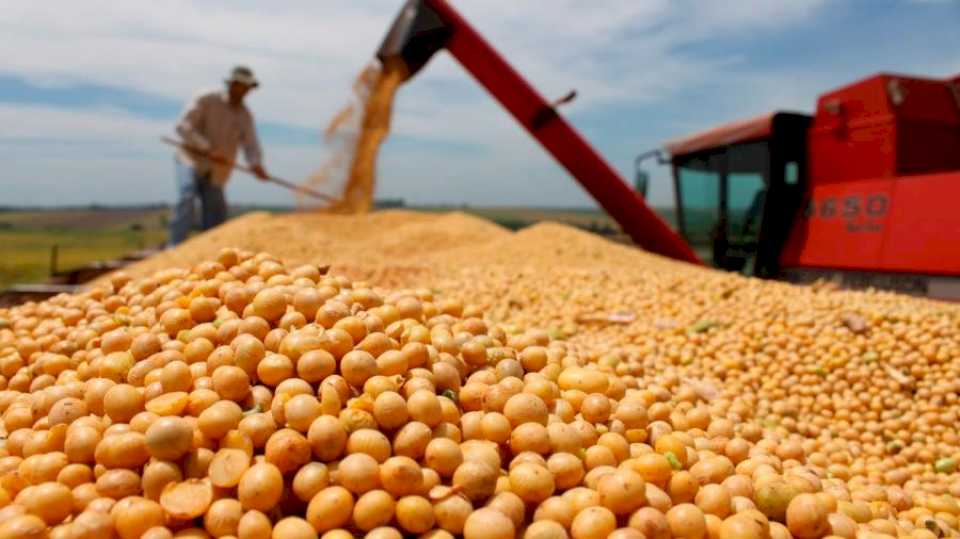 Las liquidaciones por el «dólar agro» superaron los US$ 2.000 millones