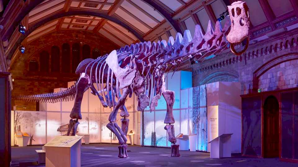 un-museo-de-londres-exhibe-una-replica-de-un-dinosaurio-descubierto-en-chubut