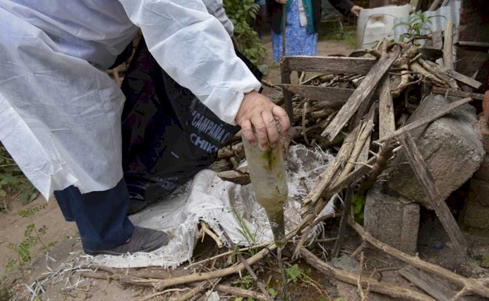 Dengue en Jujuy: advierten que los brotes serán más frecuentes por el cambio climático