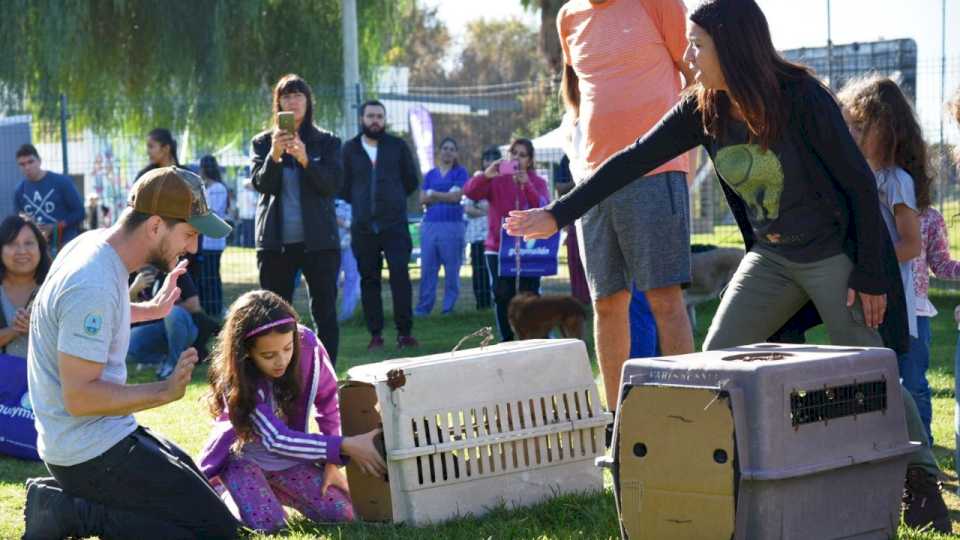 asi-fue-el-festejo-del-dia-del-animal-en-guaymallen