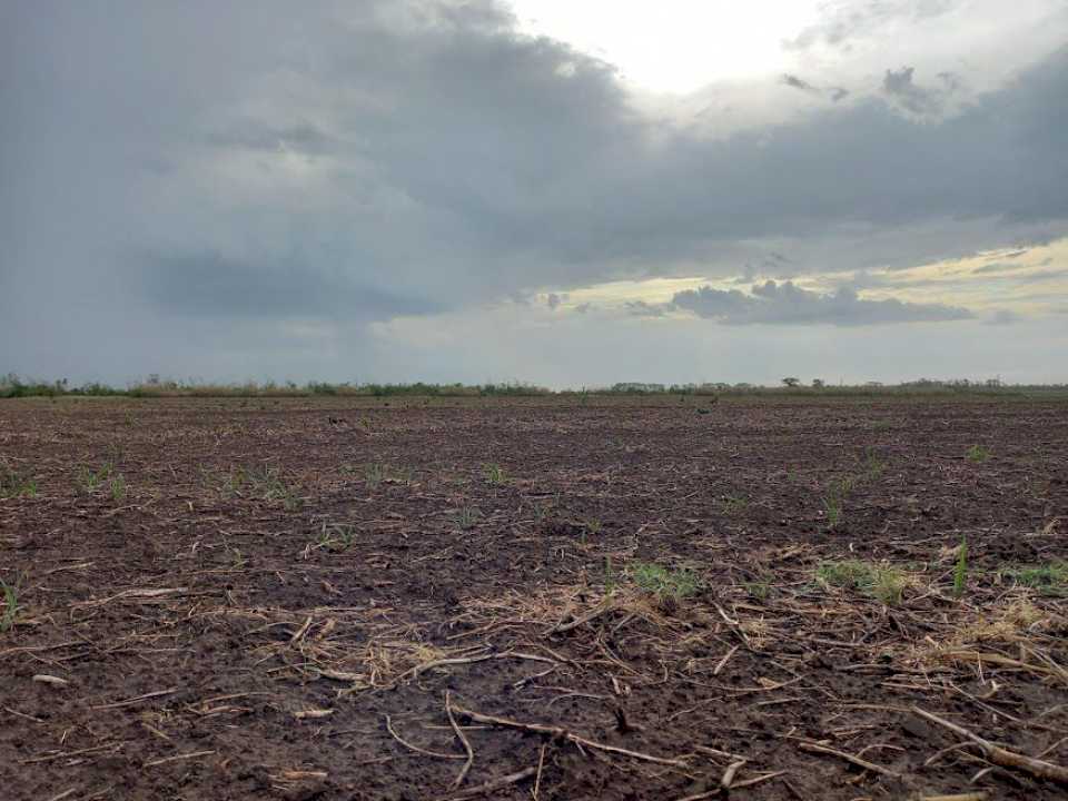 el-campo-se-vuelve-a-ilusionar,-llegaron-abundantes-lluvias-para-las-nuevas-siembras