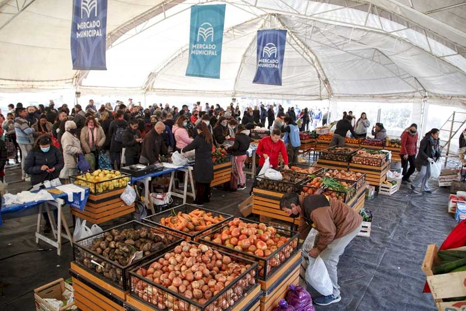 este-sabado-abre-el-mercado-municipal