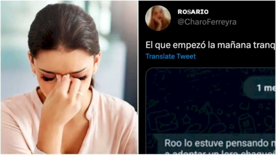 la-insolita-propuesta-de-un-joven-a-su-novia-que-se-hizo-viral:-«adoptemos-un…»