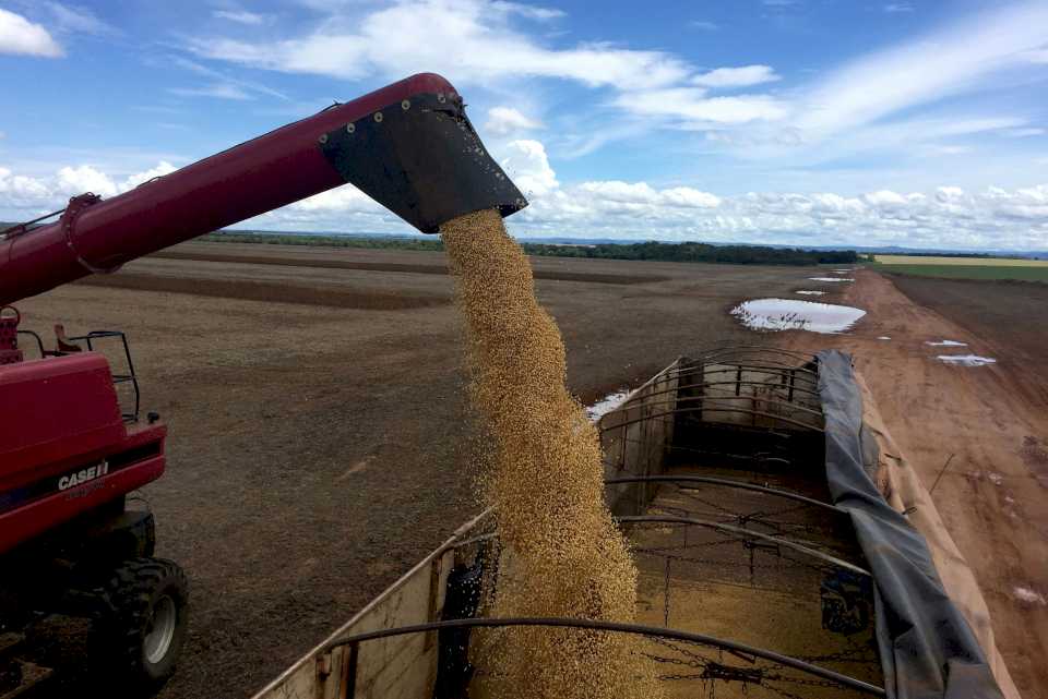 El impacto de la sequía severa empezó a mostrar el faltante de dólares del campo en la economía