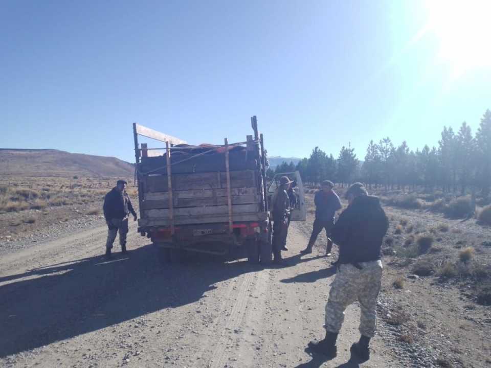 Decomisan carne de caballo en la ruta 6, entre El Bolsón y El Maitén