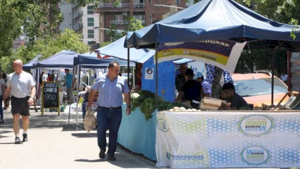 Dónde estarán las ofertas del programa “El Mercado en tu Barrio”  esta semana