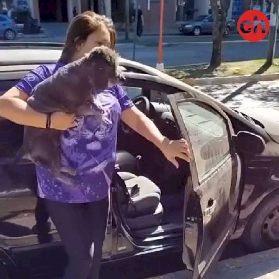 dejo-a-su-perro-encerrado-en-el-auto-mientras-tomaba-un-cafe