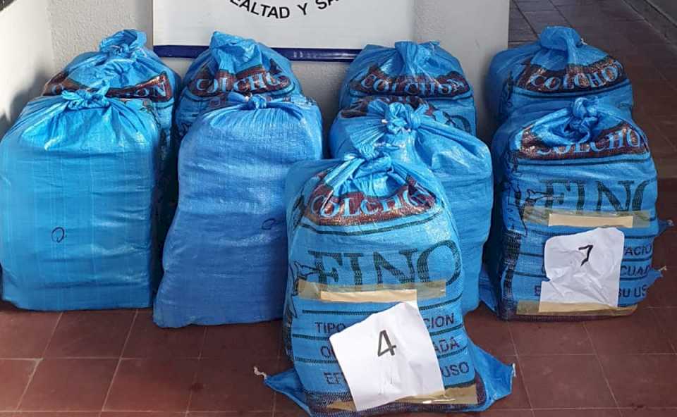 secuestraron-222-kg-de-hojas-de-coca-en-estado-natural-en-tres-cruces