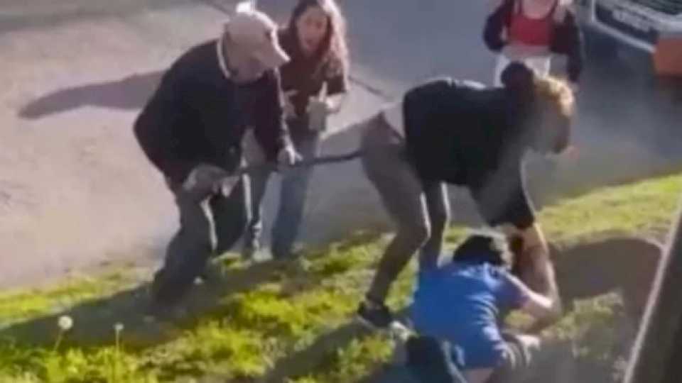 Vídeo: filman el salvaje ataque de un pitbull a un vecino