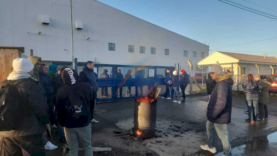 300 contratos fueron dados de baja en la empresa Solnik