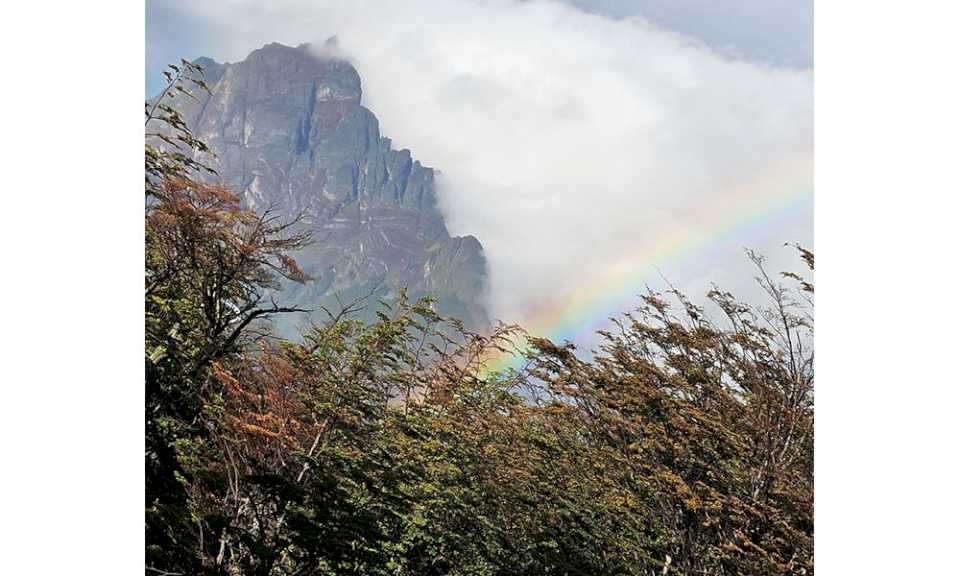 Proponen renovar la agenda ambiental