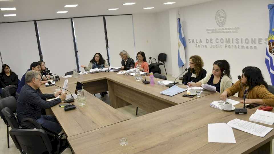 Diputados analizaron modificaciones al proyecto de Acompañantes Terapéuticos