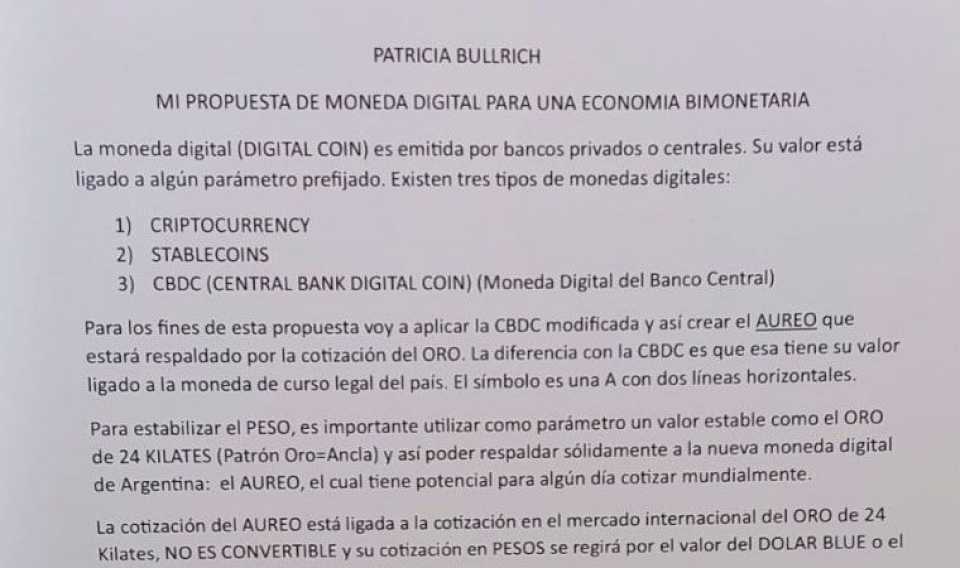 El enigmático plan económico “fake” difundido en nombre de Patricia Bullrich