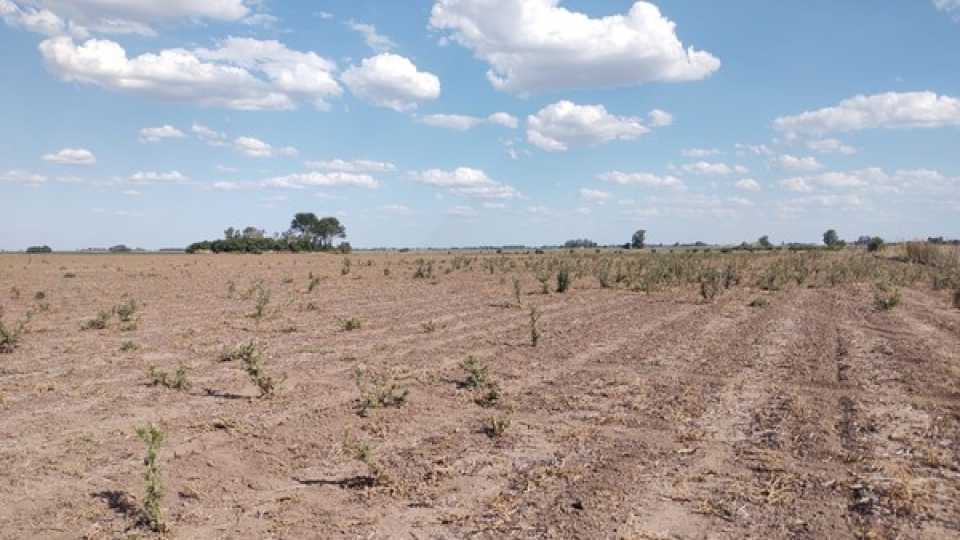 Cuentas públicas en problemas: la recaudación de abril cayó casi 8%