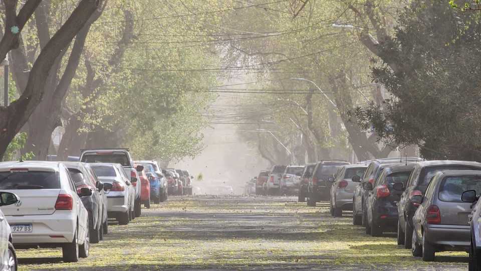 pronostico-del-tiempo-en-mendoza:-este-viernes-estara-agradable-pero-a-la-tarde-habra-zonda