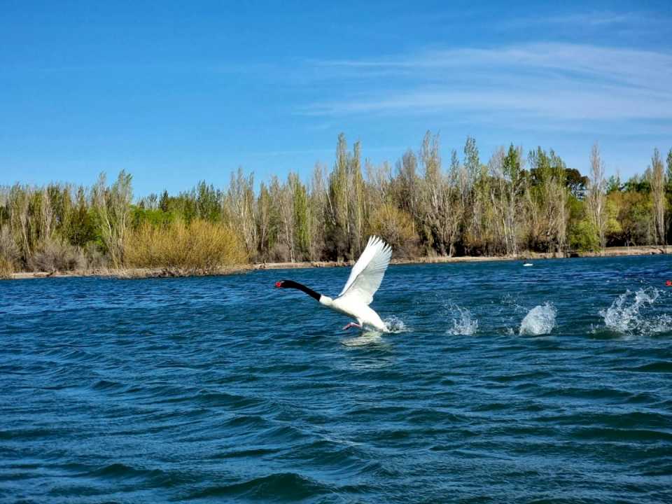 se-viene-un-finde-agradable-y-ventoso-en-neuquen