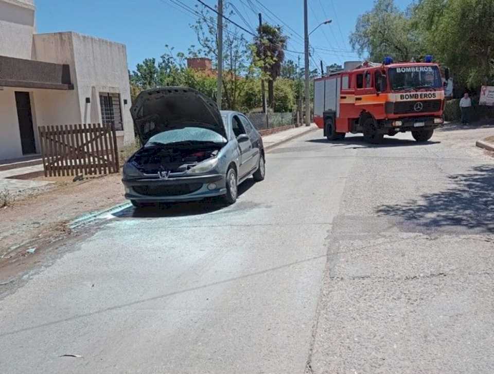 bomberos-sofocaron-un-incendio-forestal-y-uno-vehicular