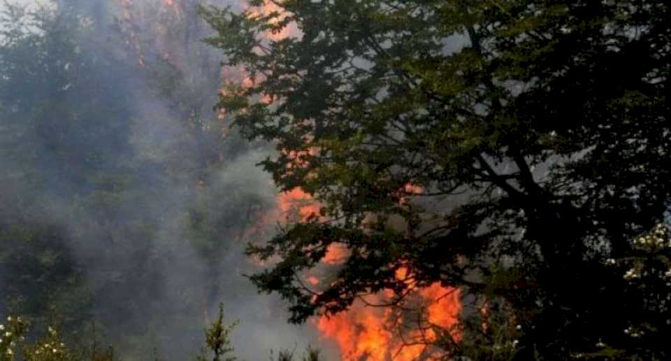 se-desato-un-incendio-forestal-en-la-zona-de-alumine