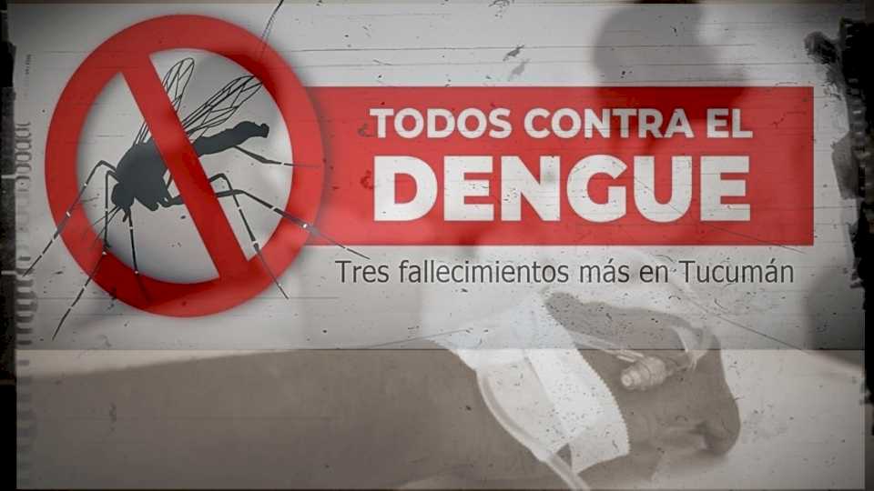 confirman-tres-fallecimientos-mas-a-causa-del-dengue