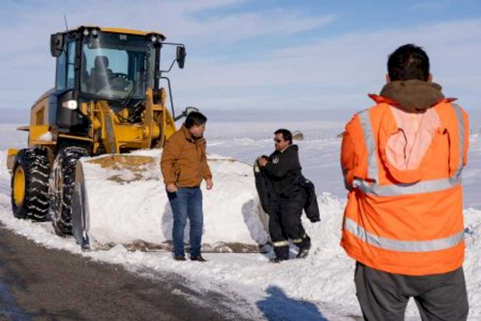 claudio-vidal-anticipo-que-habra-una-importante-mortandad-de-animales-por-el-temporal-de-nieve