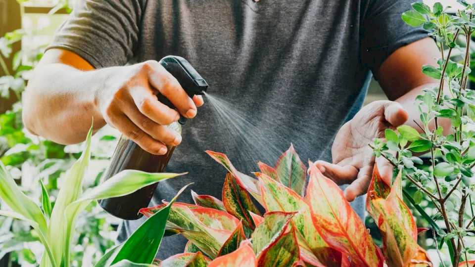 el-herbicida-casero-que-es-oro-puro-para-el-jardin-y-se-hace-con-un-ingrediente-de-cocina