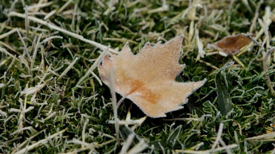 clima-en-neuquen:-la-semana-cierra-con-frio