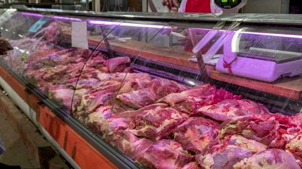 Cuánto aumentó la carne según el dato del INDEC de junio de 2024