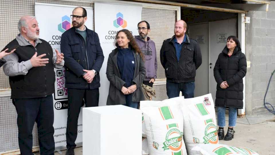 municipio-entrega-alimento-balanceado-para-gallinas-ponedoras