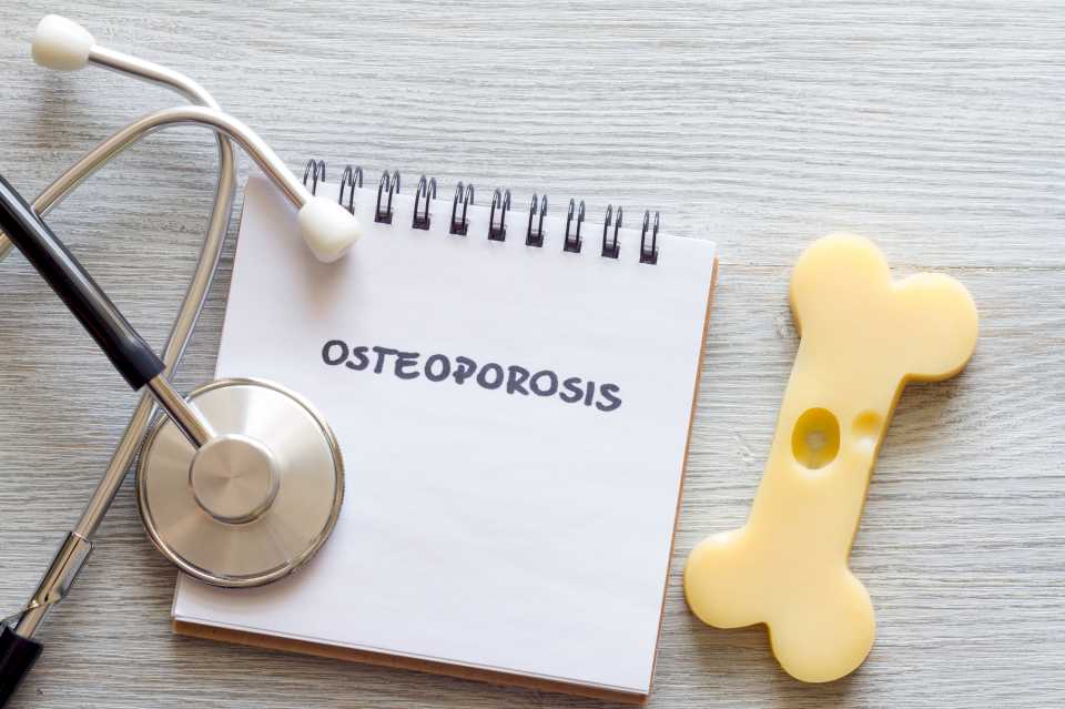 descubren-una-hormona-que-fortalece-los-huesos-y-podria-ayudar-a-combatir-la-osteoporosis