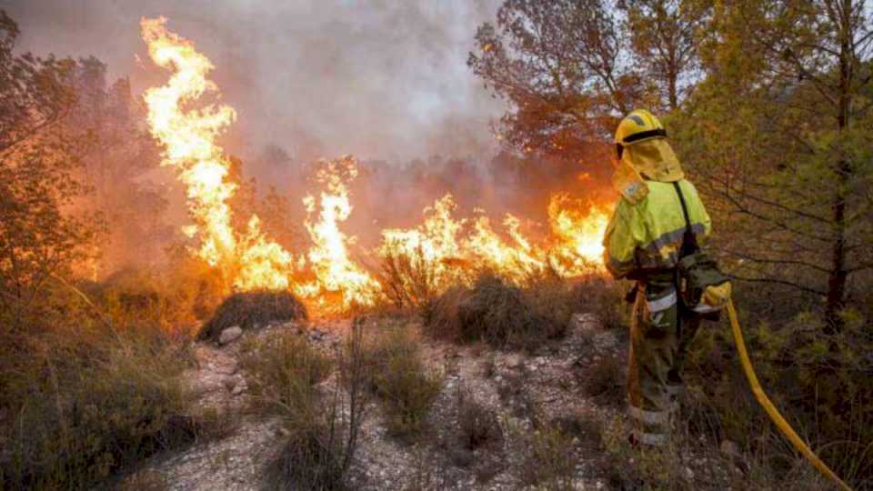 en-los-ultimos-3-meses,-hubo-81-incendios-en-jujuy