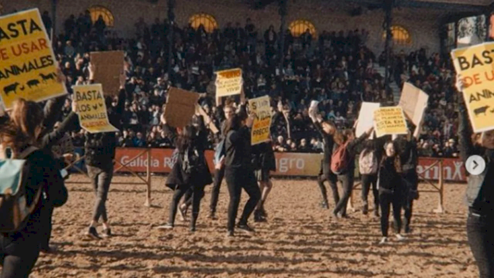 la-rural:-veganos-protestaron-durante-un-concurso-de-caballos