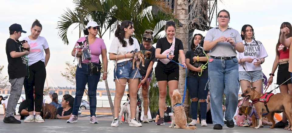 los-“amigos-incondicionales”-repartieron-el-amor-mas-puro-en-la-costanera-posadena