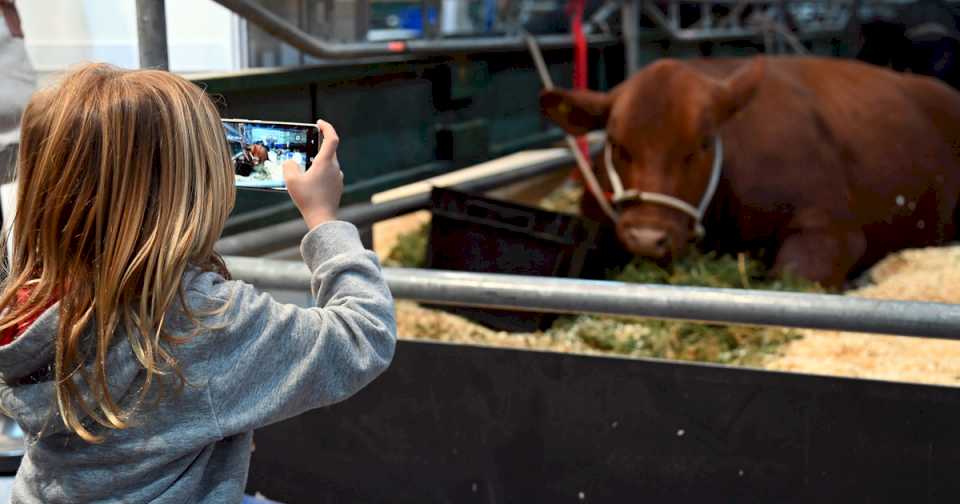 exposicion-rural-de-palermo:-animales-«rockstars»-y-que-actividades-hay-para-los-chicos-en-estas-vacaciones-de-invierno