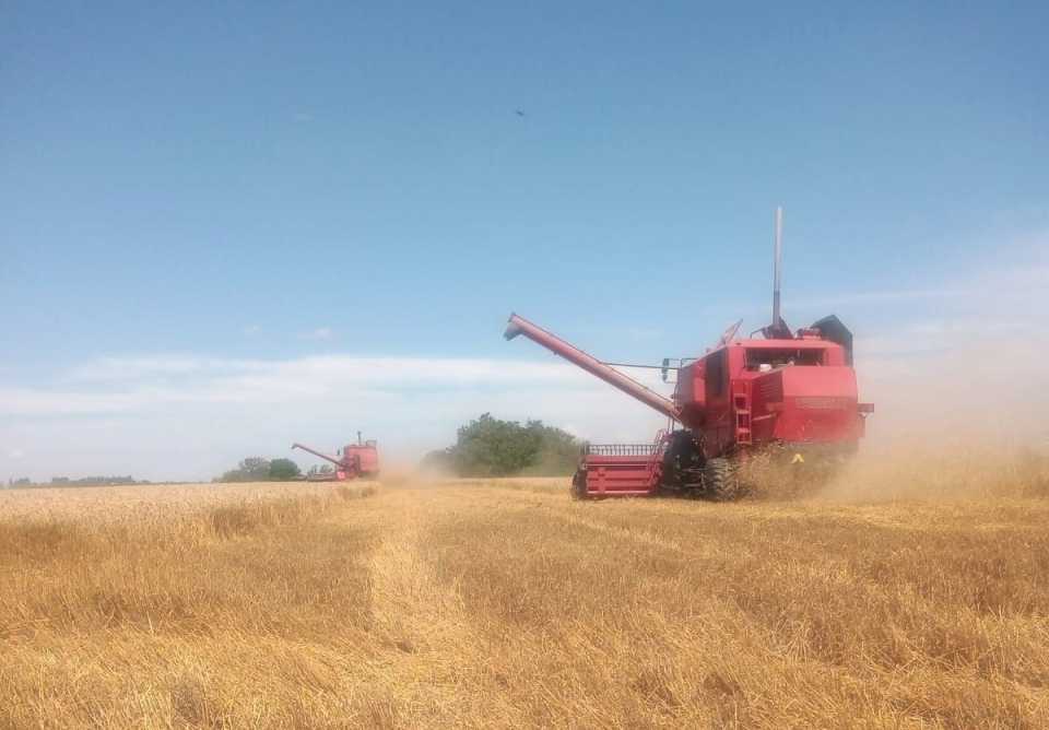 “Hay que rapiñarle hasta el último recurso fiscal disponible”: el duro mensaje de una entidad del campo