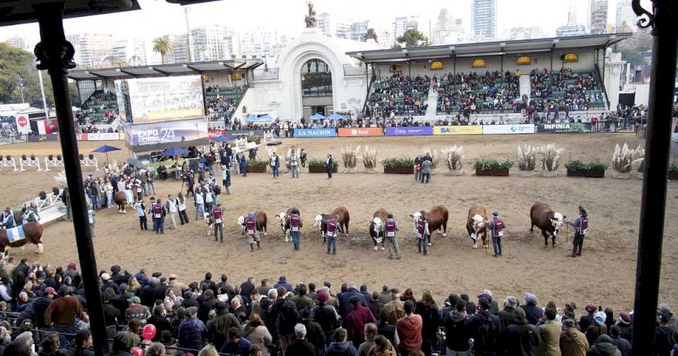 «Va a mejorar el negocio»: los ganaderos se ilusionan con el gobierno de Javier Milei pese a la suba de los costos y precios de la hacienda planchados