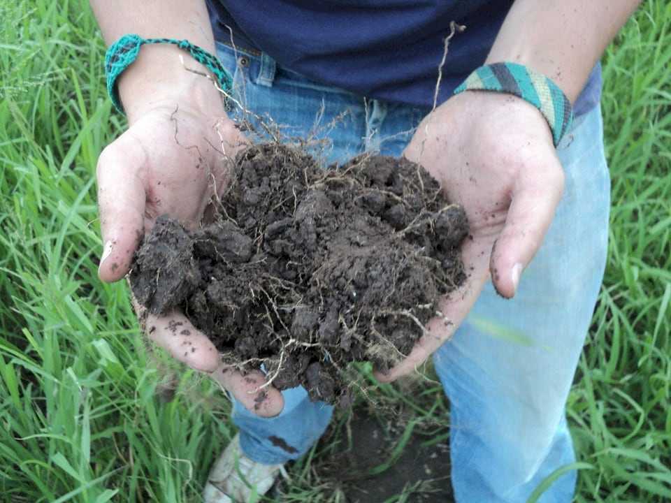 Argentina multiplicó por veinte sus proyectos de carbono y avanza en la comercialización de bonos verdes